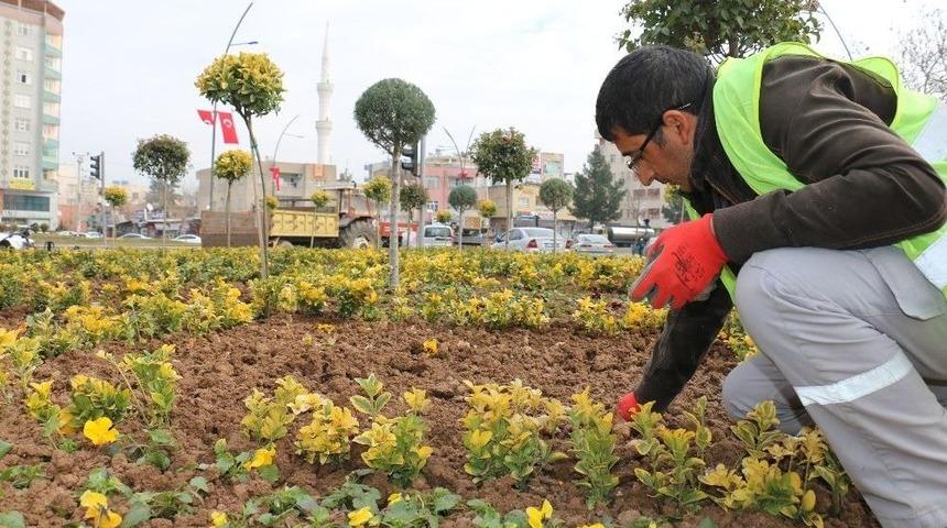 Batman&rsquo;da Peyzaj Ve &Ccedil;im Ekimi Yapılıyor