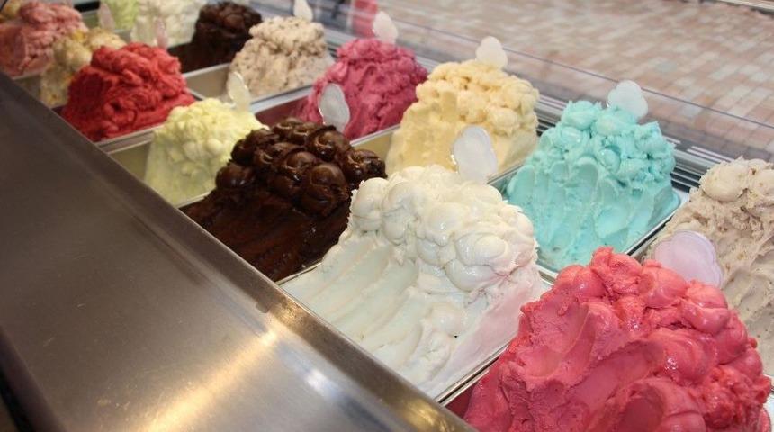 Dondurmalar, &lsquo;kış Uykusuna&rsquo; Hazırlanıyor