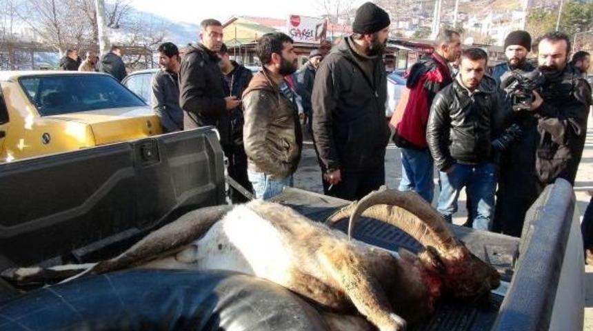 Avlanması Yasak Dağ Ke&ccedil;isinin Derisini Y&uuml;zerken Yakalandılar (2)