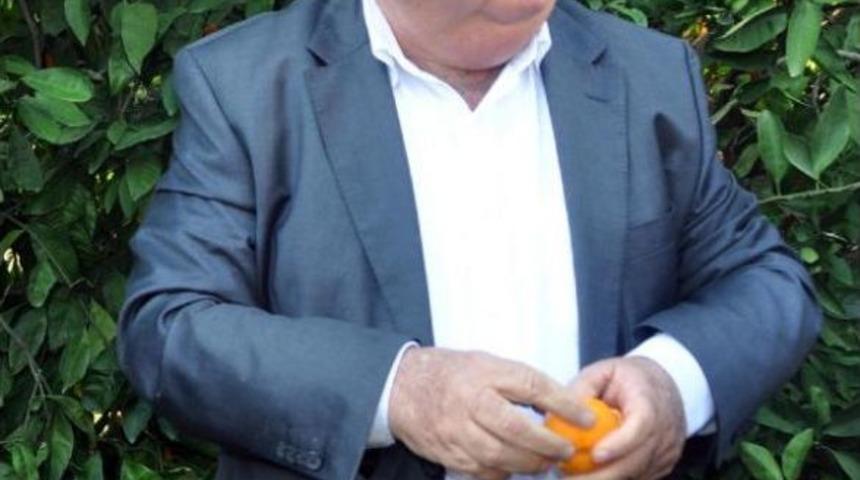 Ak Partili Eski Belde Başkanı Cinayeti 'siyasi Olabilir' Iddiası (2)