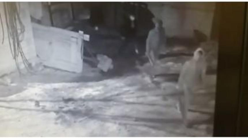 Horasan&rsquo;da Hayvan Hırsızlığı Son Anda &Ouml;nlendi