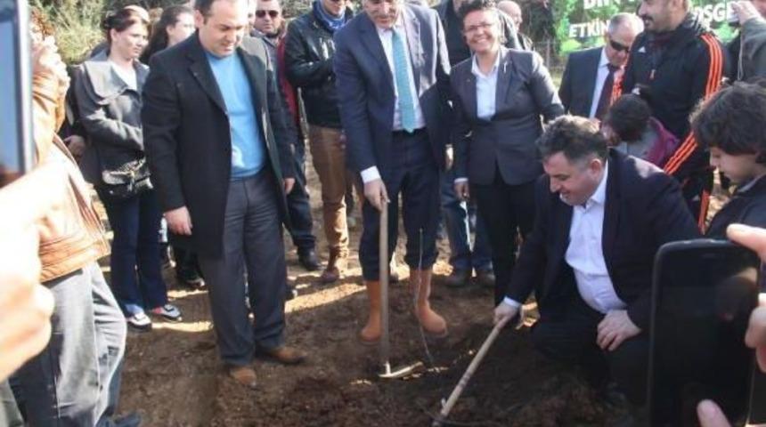 Kınık'ta Hatıra Ormanı Için Ilk Fidanlar Toprakla Buluştu
