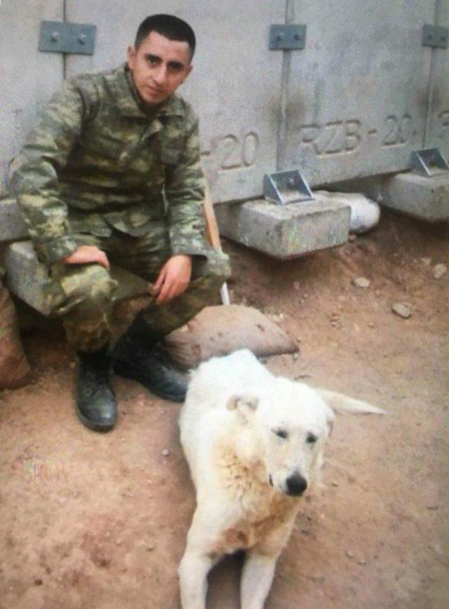 Avcılarlı Gazinin Ailesine Başkan Benli&rsquo;den Ziyaret 1