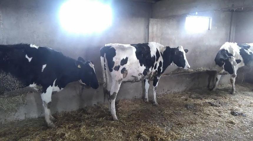 Kendi İşini Kuran Eski Hükümlü Hayata Yeni Bir Başlangıç Yaptı