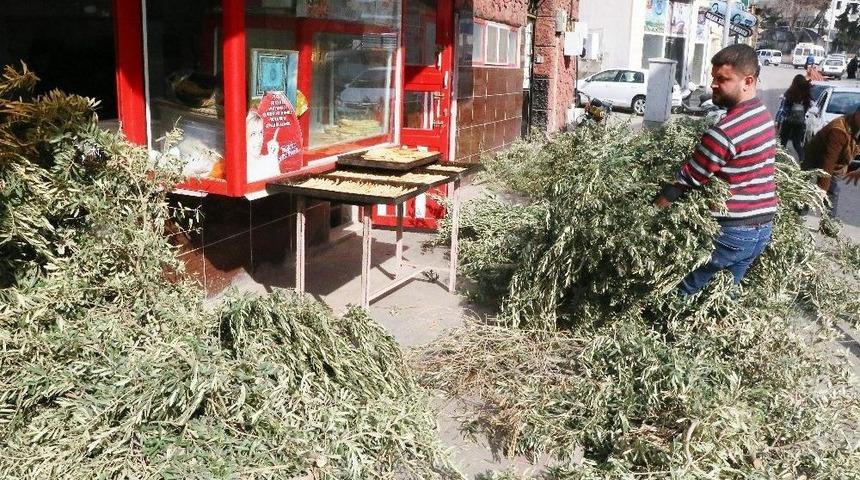 Kilisli Fırıncıların &lsquo;zeytin Dalı&rsquo; Telaşı