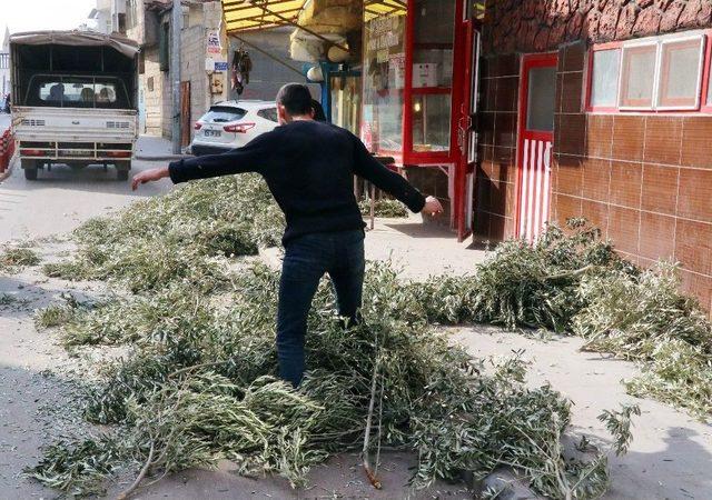 Kilisli Fırıncıların ‘zeytin Dalı’ Telaşı