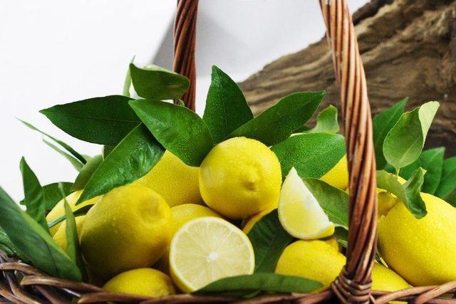 Ege B&ouml;lgesi Narenciye Rekoltesi 428 Bin Ton 2