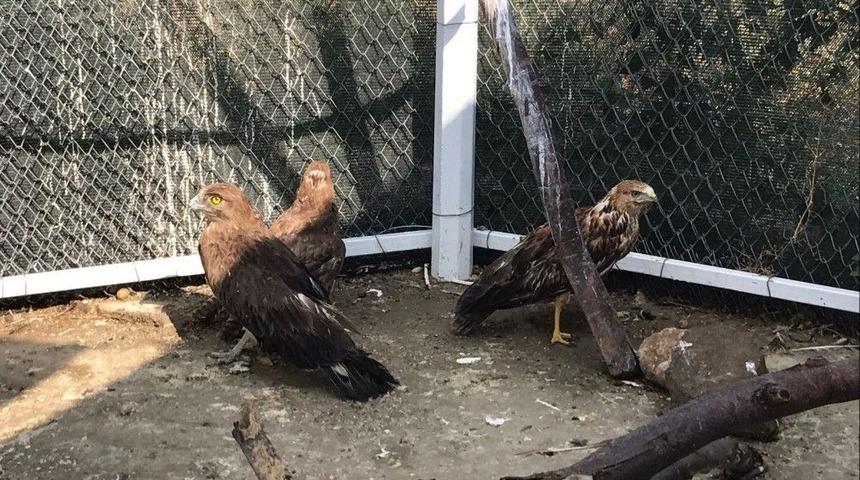 (&ouml;zel Haber) Afyonkarahisar&rsquo;da Bu Kadarı Da Olmaz Dedirten Olay