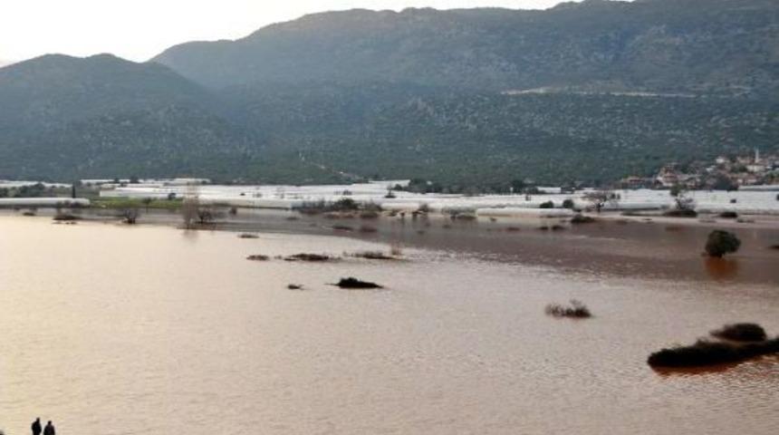 &Uuml;retici Sandalla &Uuml;r&uuml;n&uuml;n&uuml; Taşıyor