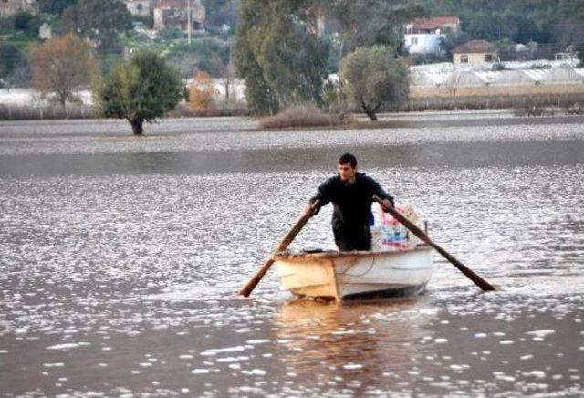 Üretici Sandalla Ürününü Taşıyor