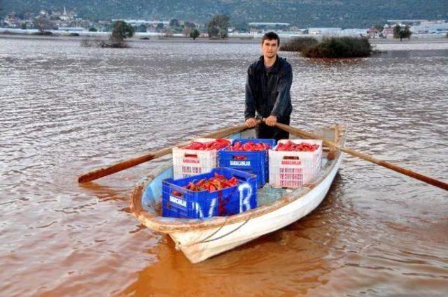 Üretici Sandalla Ürününü Taşıyor