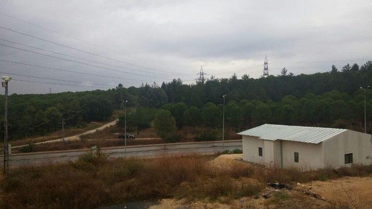 (özel Haber) Aç Kalan Köpekler Uludağ Üniversitesi’ndeki Geyikleri Yedi G1