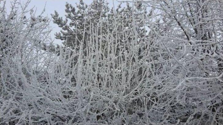 Aşkale Buz Kesti G5