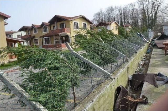 Başkan Üzülmez Fırtınada Hasar Gören Yerleri İnceledi