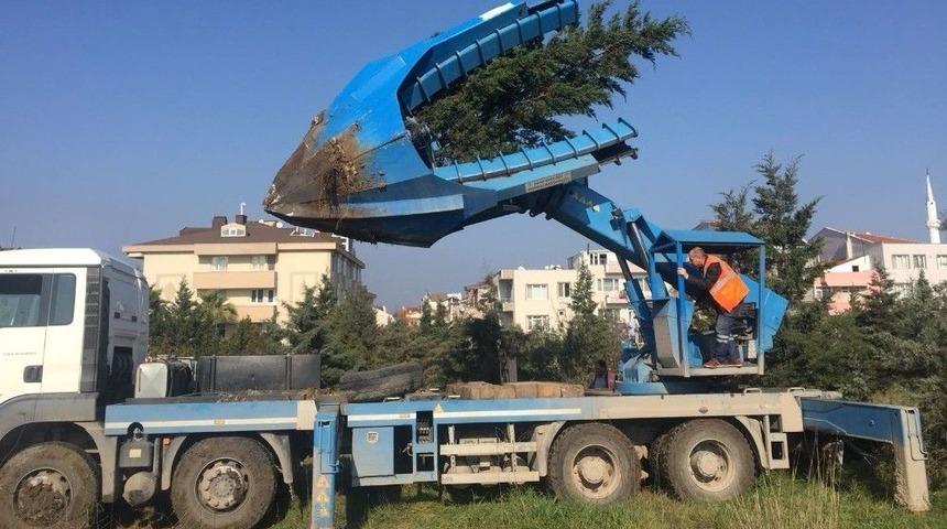 156 &Ccedil;am Ağacı Cezaevi Bah&ccedil;esine Naklediliyor
