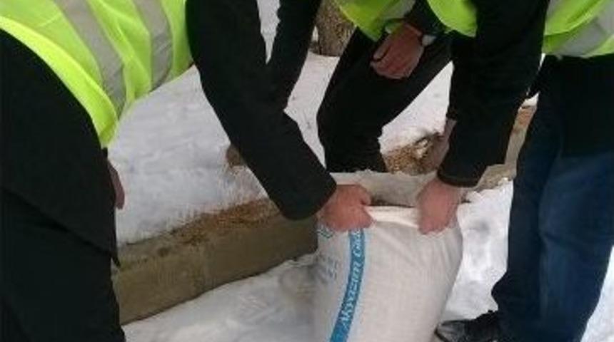 Doğal Yaşam, Yabani Hayat Bize Emanet