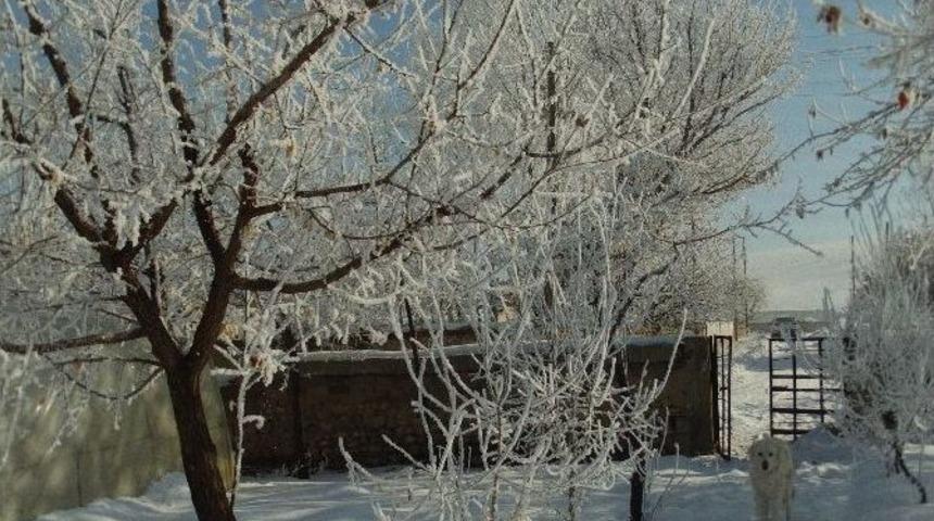 &Ouml;zalp Buz Tuttu