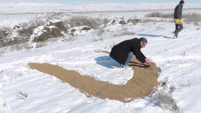 Yaban Hayatı Için Doğaya Yem Bıraktılar