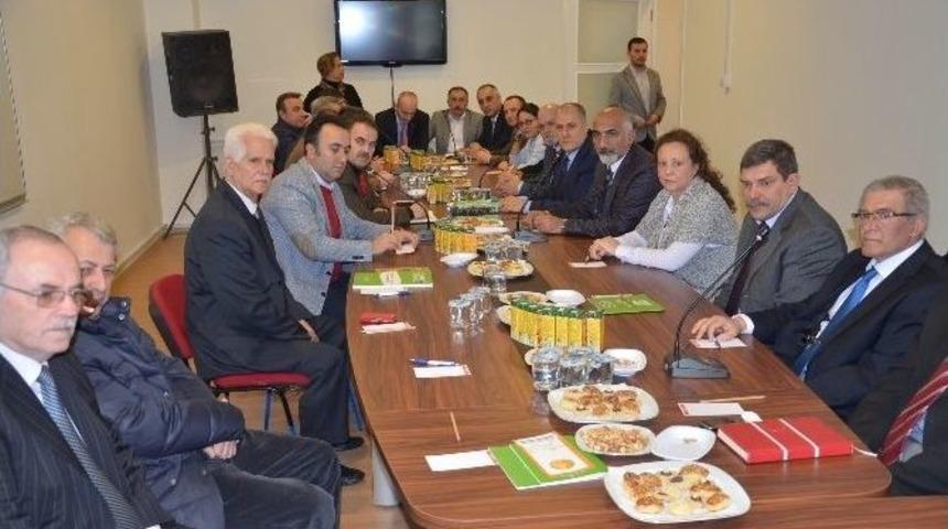 Gemlik&rsquo;te Zeytin Festivali