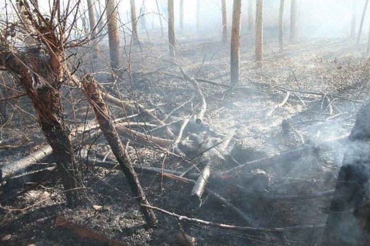 Çarşamba’da 3 Ayrı Yerde Yangın G2