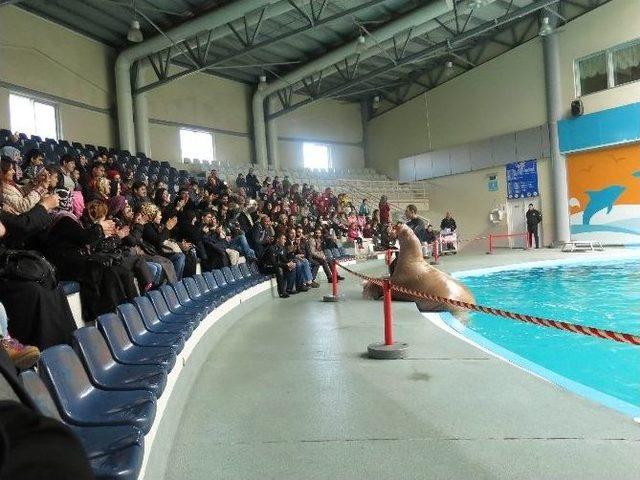 Engelliler Dolphinarium’da Eğlendi