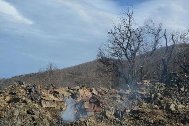 Lodos, Samsun’Da Orman Yangınlarına Neden Oldu (3)