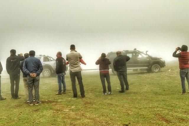 Ünye’den Akkuş’a Safari Turu