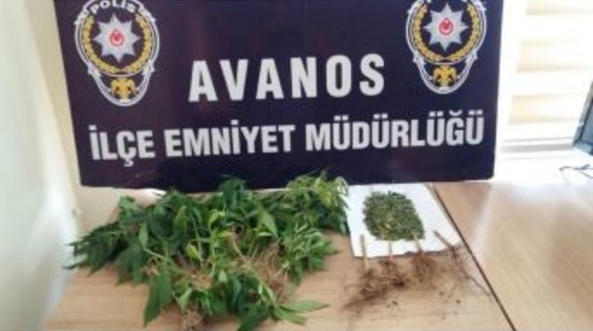 Avanos&rsquo;ta Hin Keneviri Ele Ge&ccedil;irildi