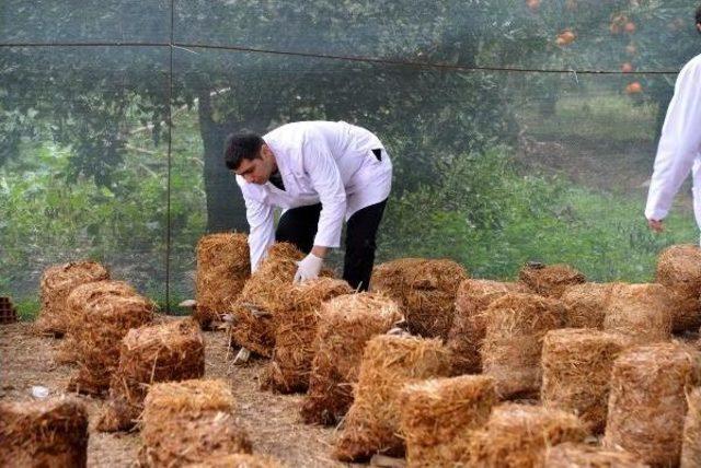 200 Bin Liraya Kurduğu Tesiste Aylık 3 Ton Mantar Üretiyor