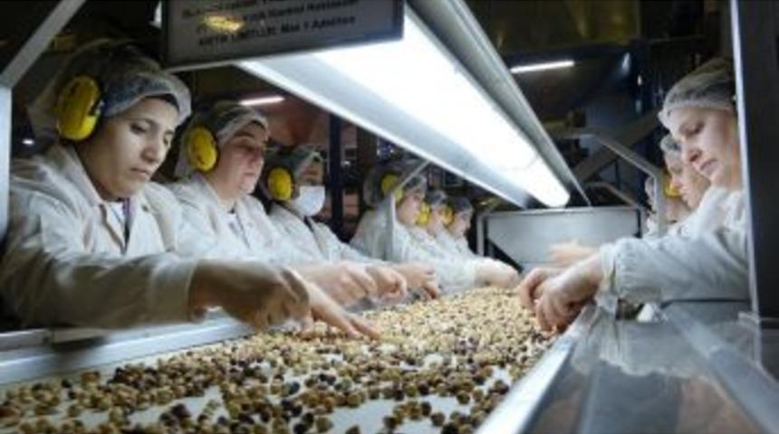 5 Ayda 150 Bin Ton İ&ccedil; Fındık İhra&ccedil; Edildi