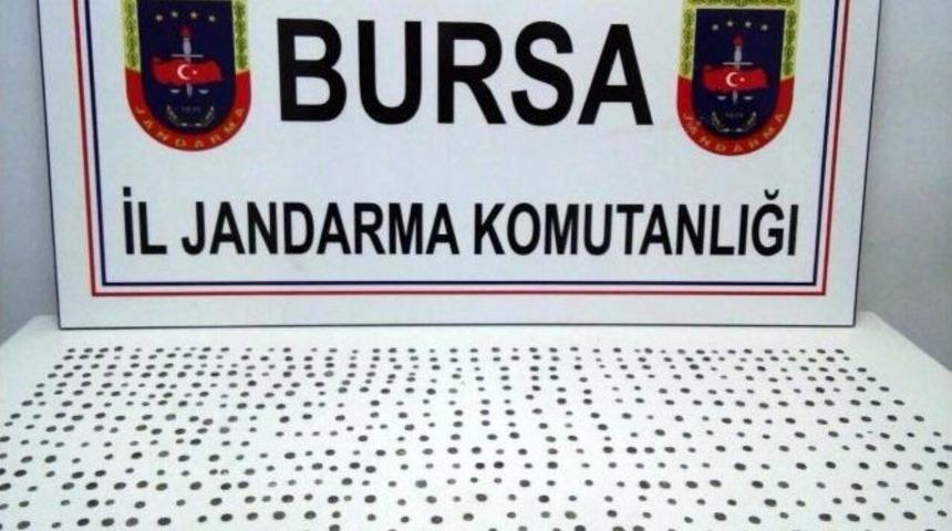 Koltuktan Tarihi Sikke Fışkırdı