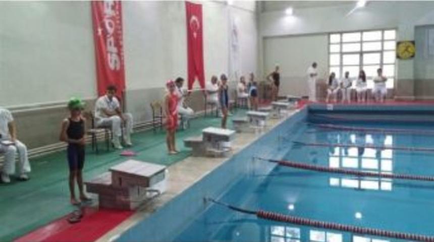 Analig Y&uuml;zme Grup M&uuml;sabakaları