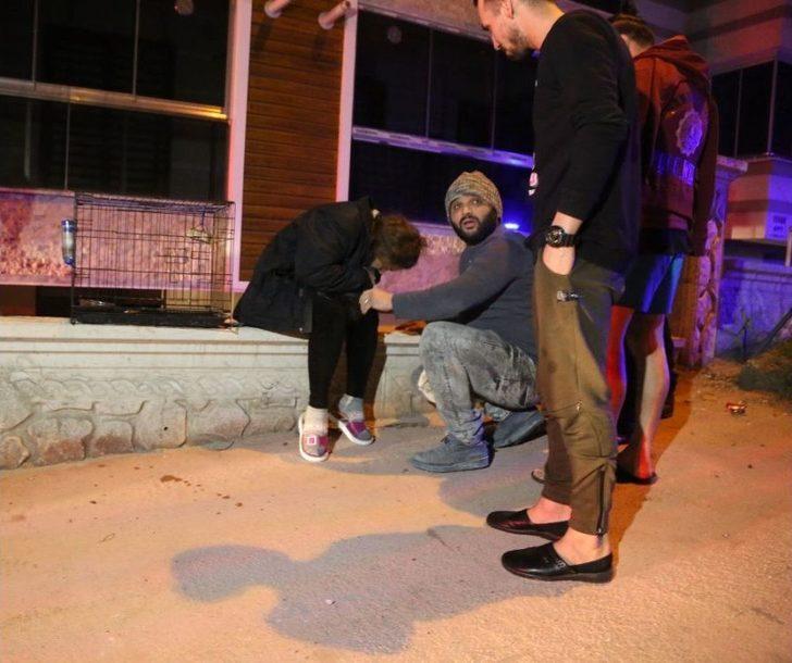 Tavşanı Dakikalarca Suni Teneffüsle Hayata Döndürmeye Çalıştı G1