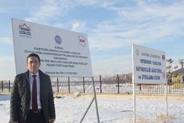 G&uuml;neş Enerjisinden Elektrik &Uuml;retilecek 1