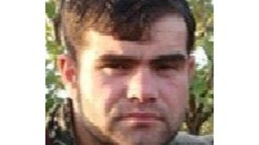 Pkk&rsquo;nın Mavi Listeyle Aranan S&ouml;zde B&ouml;lge Y&ouml;neticisi &Ouml;ld&uuml;r&uuml;ld&uuml;