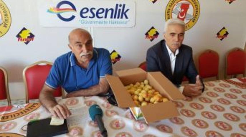 Veysel Karani Kayısı İ&ccedil;in Harekete Ge&ccedil;ti