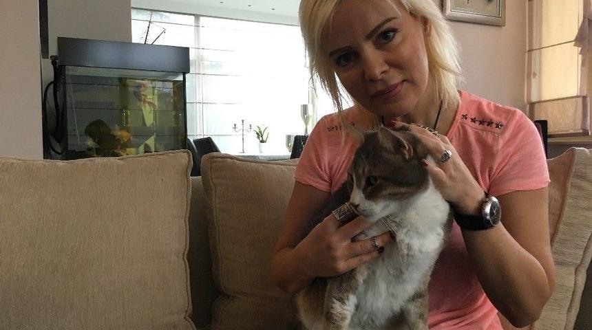 (&ouml;zel) "kuyu" K&ouml;pek Kurtarılmasından Bir Sene Sonra G&ouml;r&uuml;nt&uuml;lendi