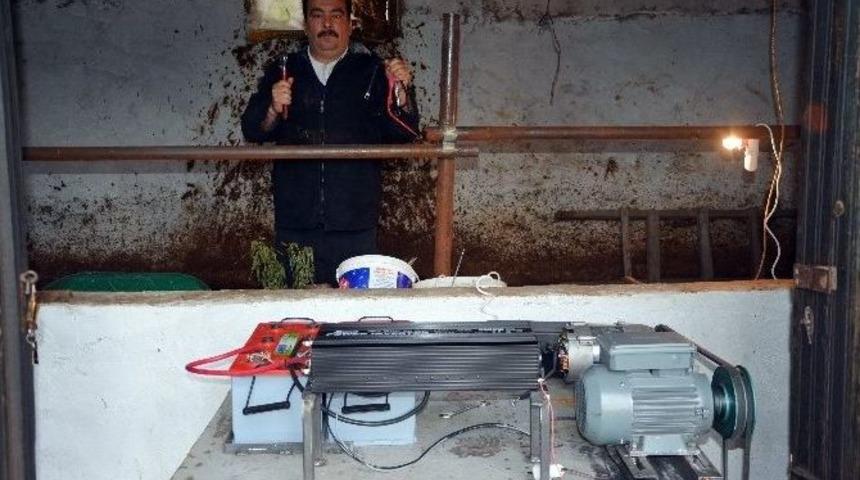 (&ouml;zel Haber) Hayvan Damında Elektrik &Uuml;retti