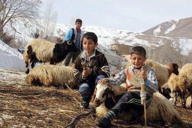 (özel Haber) Yarı Yıl Tatilini Hayvanlara Bakarak Geçiriyorlar