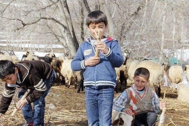 (özel Haber) Yarı Yıl Tatilini Hayvanlara Bakarak Geçiriyorlar