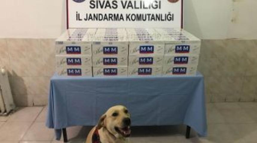 Valizlerden Ka&ccedil;ak Sigara &Ccedil;ıktı