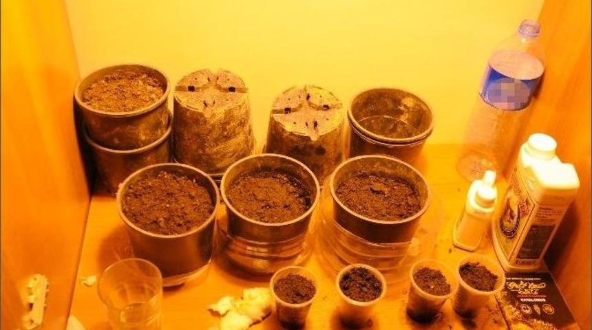 Esenyurt&rsquo;ta Uyuşturucu Operasyonu: 9 G&ouml;zaltı