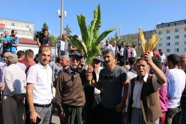 Adıyaman'da Tütün Protestosu