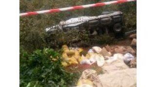 Fındık Kamyonu Devrildi Tonlarca Fındık Tarlaya Yayıldı