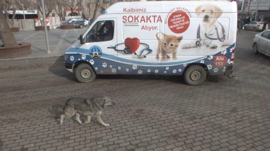 Malazgirt&rsquo;te &lsquo;kalbimiz Sokakta Atıyor&rsquo; Projesi