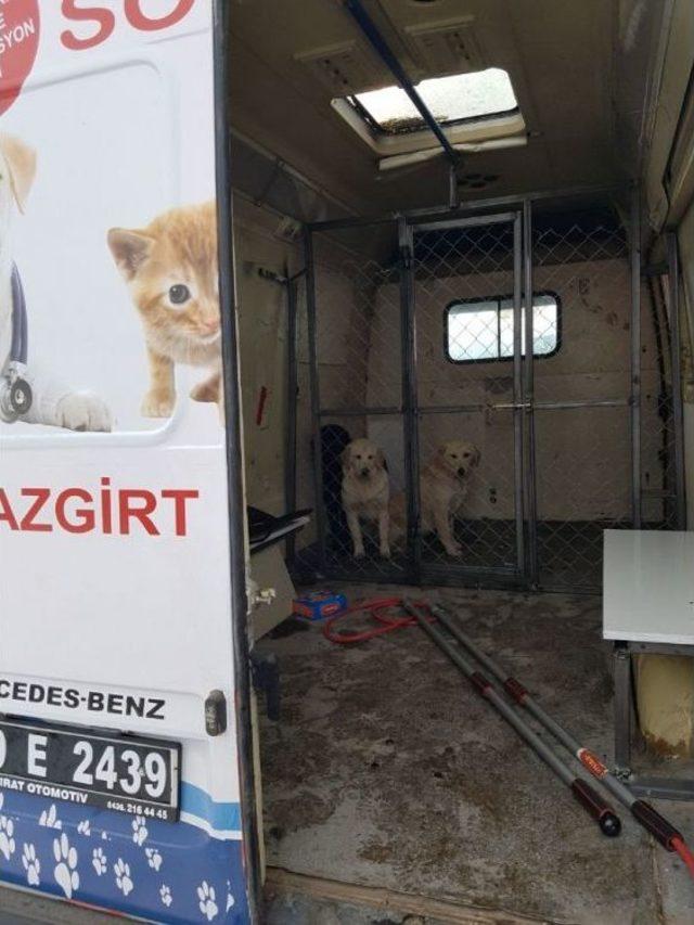 Malazgirt’te ‘kalbimiz Sokakta Atıyor’ Projesi