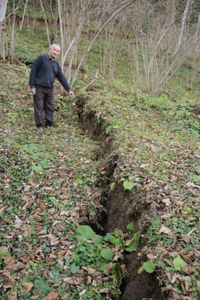 Ordu’da Heyelan