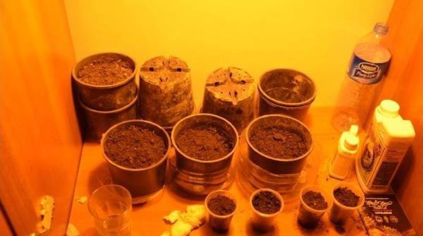 Esenyurt'ta Uyuşturucu Operasyonu;evde Dolap I&ccedil;ine Sera Kurmuş