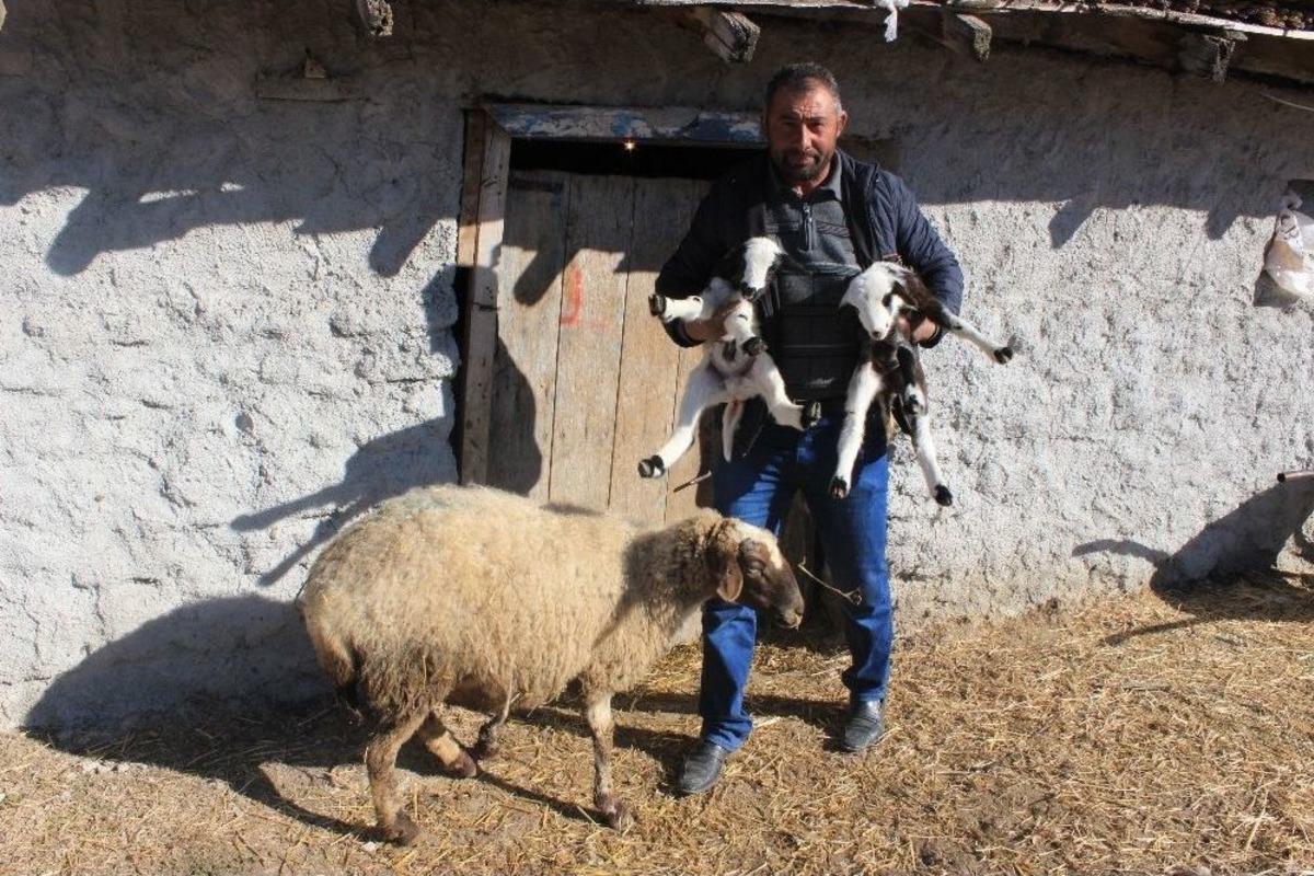 B&ouml;yle Vicdansızlık G&ouml;r&uuml;lmedi