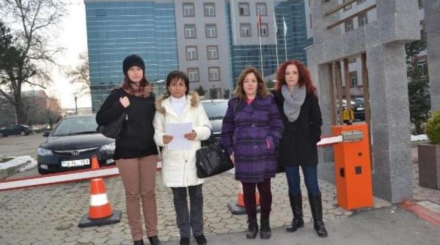 Taşlanan Yavru Domuz I&ccedil;in Savcılığa Su&ccedil; Duyurusu